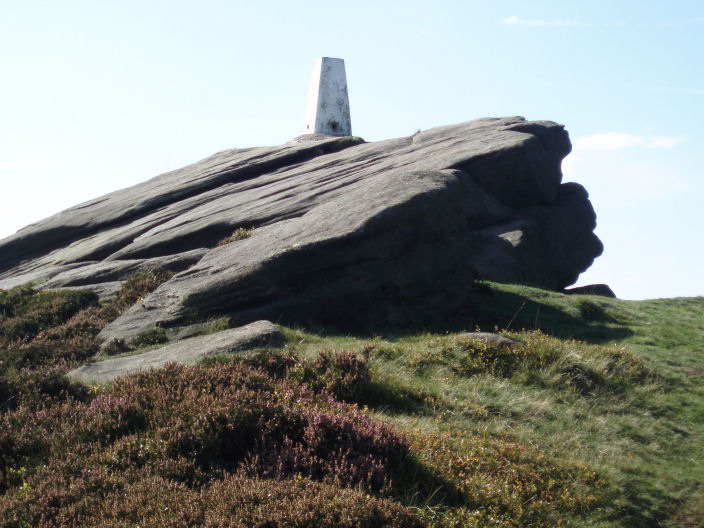 Back Tor trig Back Tor trig